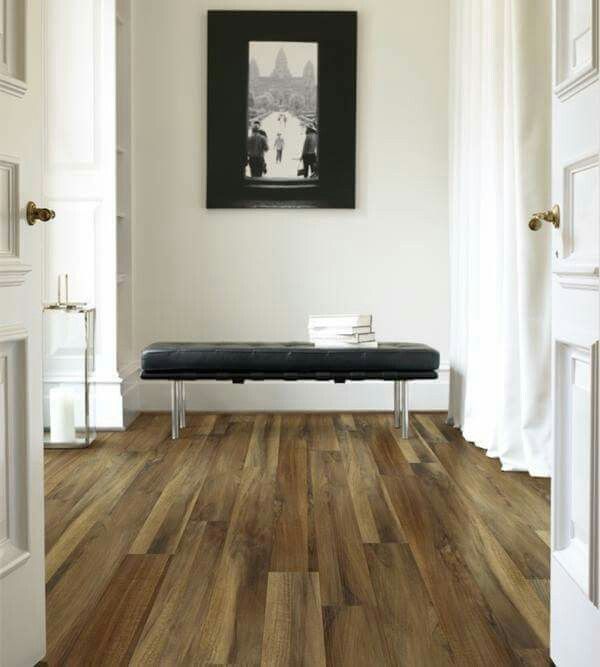 Best Shaw Carpet For Family Room Best Shaw Carpet For Family Room