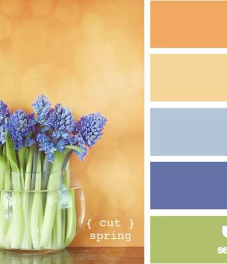 Spring Paint Colors 25+ best spring color palette ideas on pinterest | spring colors Spring Paint Colors 25+ best spring color palette ideas on pinterest | spring colors