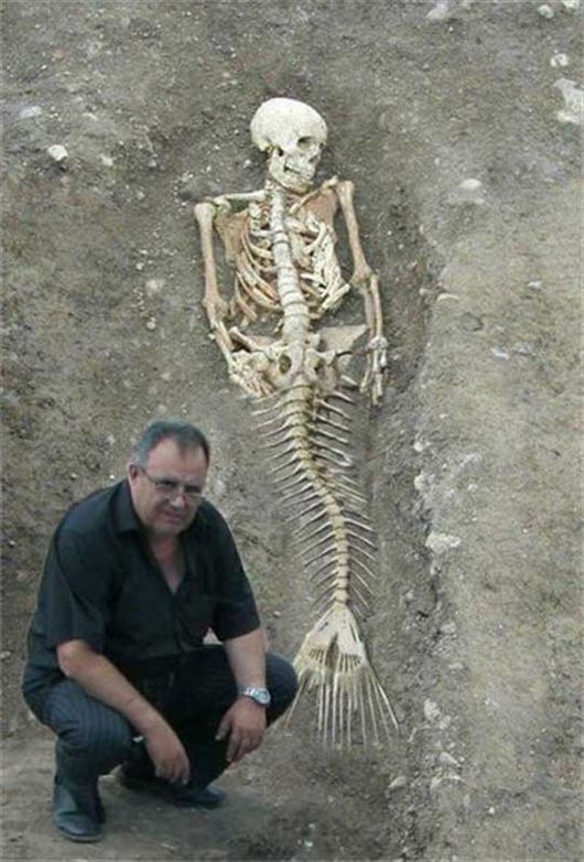 本物の人魚とされたビックリな写真 Ailovei 本物の人魚 未確認生物 人魚 本物の人魚とされたビックリな写真 Ailovei 本物の人魚 未確認生物 人魚