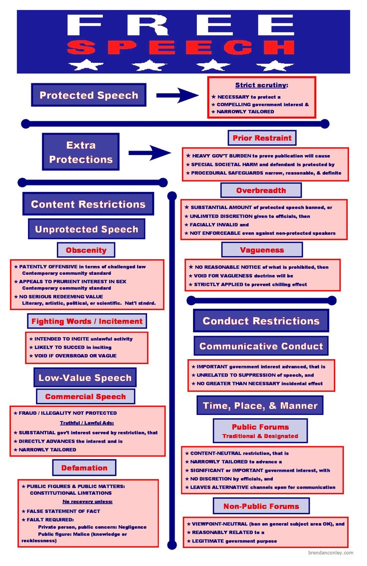 constitutional flowchart de 25 bedste id 233 er inden for freedom of speech p 229 constitutional flowchart de 25 bedste id 233 er inden for freedom of speech p 229
