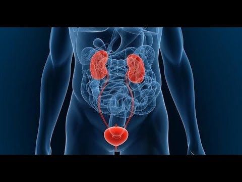 tipos de prostatitis jones youtube tipos de prostatitis jones youtube
