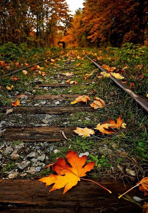 october i used to