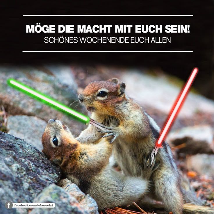 Hoch die hände wochenende bilder lustig