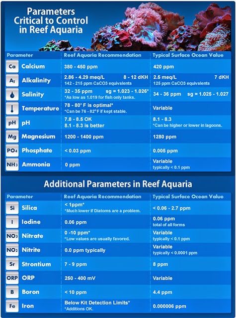 small screenshot 1 office fish. today we are going to share which water parameters you need test for in a fishonly or reef aquarium explain how these effect fish and coral small screenshot 1 office i