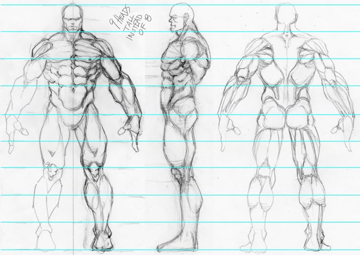 Best 25+ Character model sheet ideas on Pinterest Character - how to create a signup sheet Best 25+ Character model sheet ideas on Pinterest Character - how to create a signup sheet