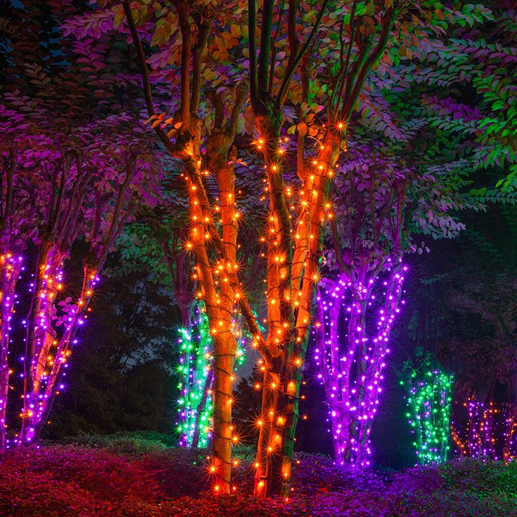 halloween lights