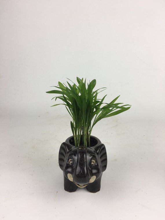 Elephant Black Planter With Mini Palm Tree Succulent Lucky Bamboo Pottery Cute Black Elephant With Mini Palm Tree Animal Planter Pen Holder Vase Unique Gift Chirstmasgift Indoorplant Dishgarden Officeplant