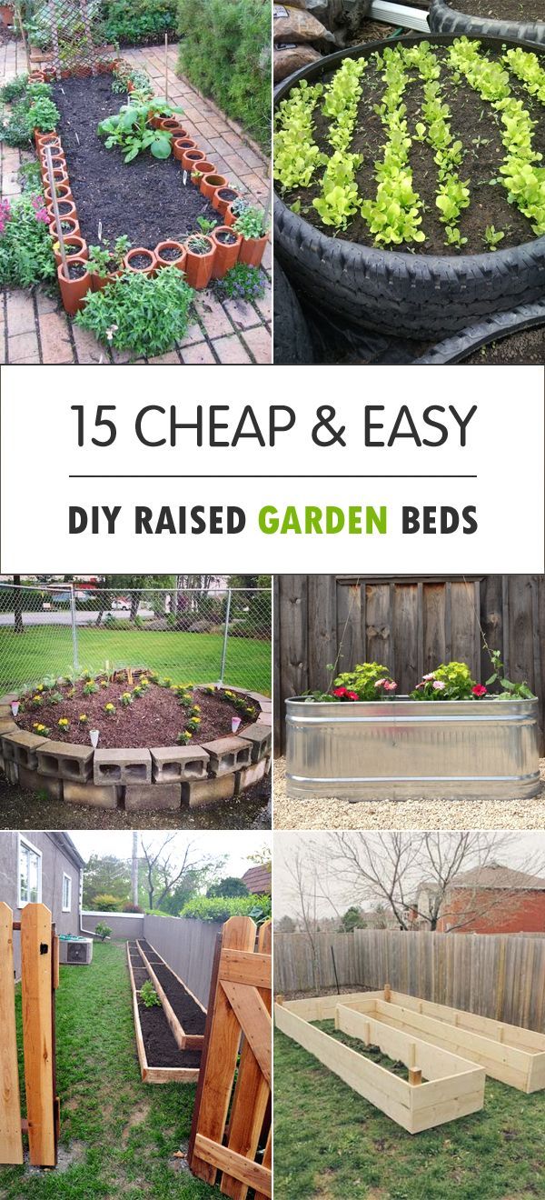 Best 25 Cheap Raised Garden Beds Ideas On Pinterest Cheap focus for Fantastic how to make a garden in your backyard – Best Image Resource Best 25 Cheap Raised Garden Beds Ideas On Pinterest Cheap focus for Fantastic how to make a garden in your backyard – Best Image Resource