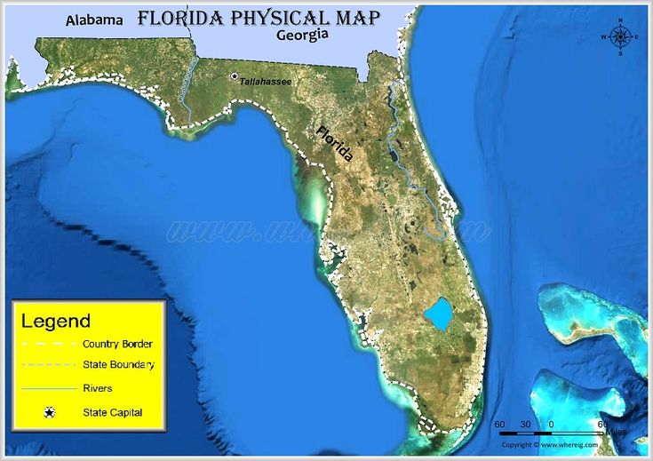 The Florida Physical Map Is Shown In Yellow 6ac074f06ca083d6b5a62eb0ce593cff