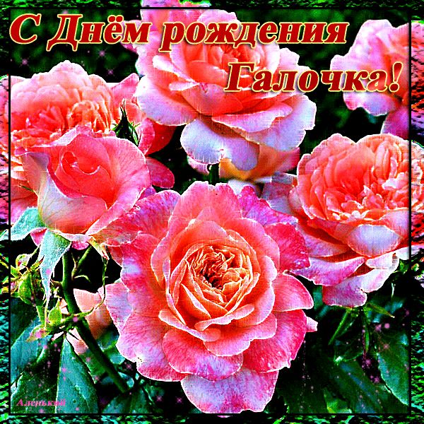 Гиф открытки с днем рождения галочки, днем