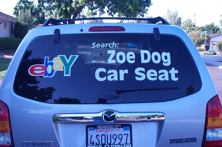 Best 25+ Dog ramp for car ideas on Pinterest | Dog car ...