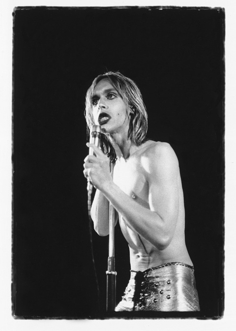 Iggy Pop’s ‘Raw Power’ Photo Session | Iggy pop, Iggy and the stooges, Iggy