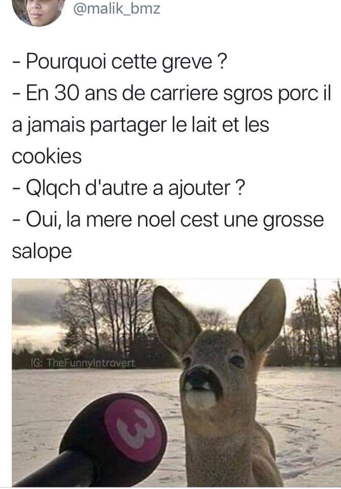 Téléchargement gratuit Images La Vrai Nature Du Pere Noel Images Droles Photos Droles Humour actualisé salutations