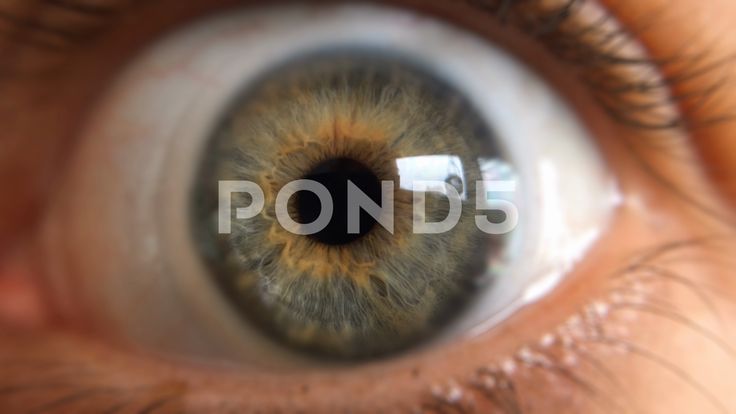 Green Eye Wide Open Close Up Stock Footage Ad Wide Eye Green Open Green Eyes Close Up Interior Design Resources Green Eye Wide Open Close Up Stock Footage Ad Wide Eye Green Open Green Eyes Close Up Interior Design Resources