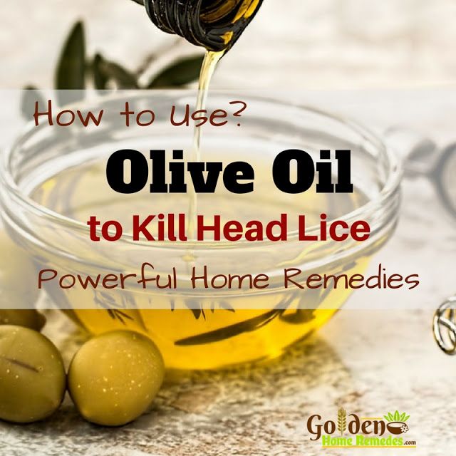 Natural Head Lice Treatment Olive Oil Natural Head Lice Treatment Olive Oil
