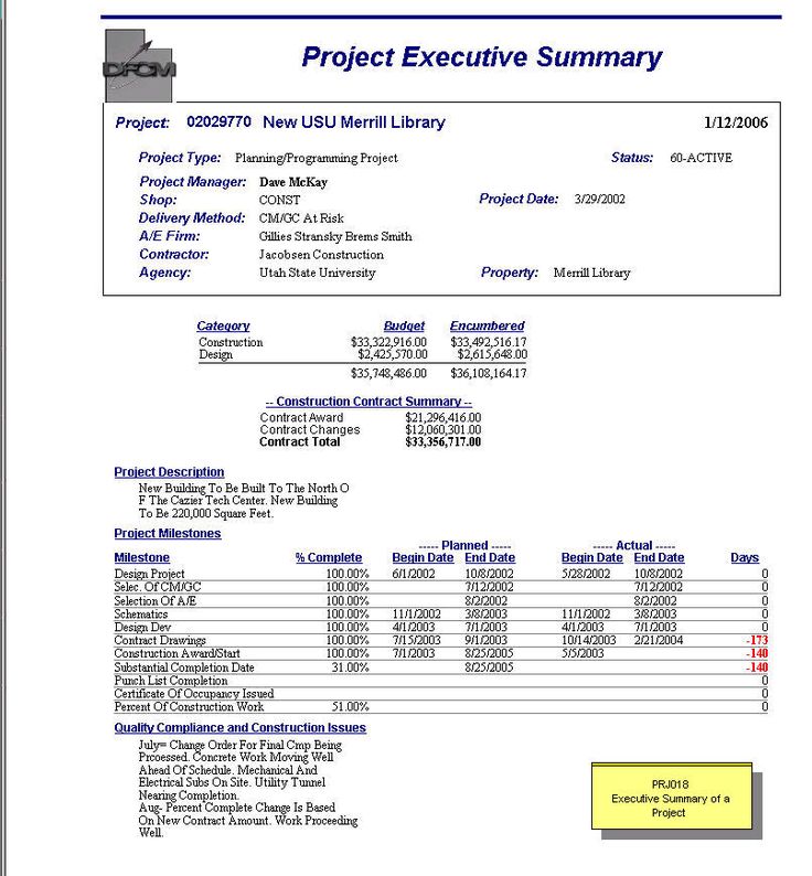Project Executive Summary project plan Pinterest Template - executive summary format for project report Project Executive Summary project plan Pinterest Template - executive summary format for project report