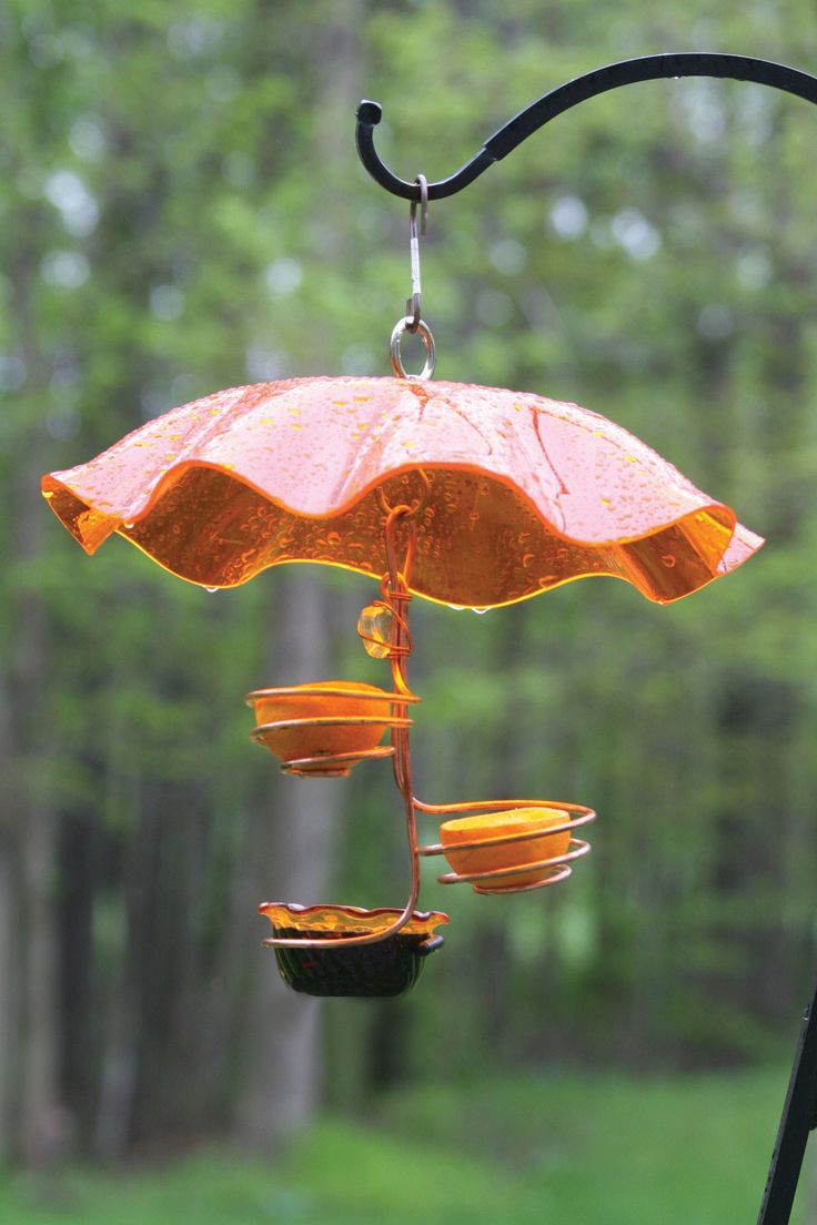 Single Cup/Double FruitOriole Tray Bird Feeder Bird Single Cup/Double FruitOriole Tray Bird Feeder Bird