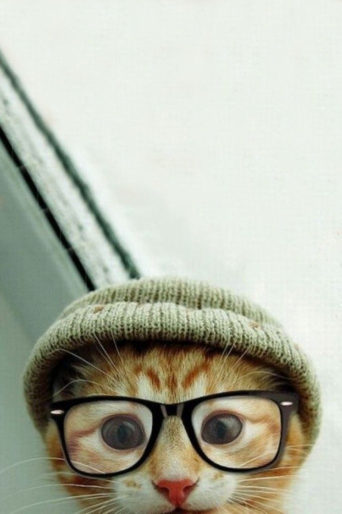 When a Cat Have Hipster Style: Cute Cats ~ frauenfrisur.com hipster accessories ... iPhone X Wallpaper 833588212257682459 1 When a Cat Have Hipster Style: Cute Cats ~ frauenfrisur.com hipster accessories ... iPhone X Wallpaper 833588212257682459 1