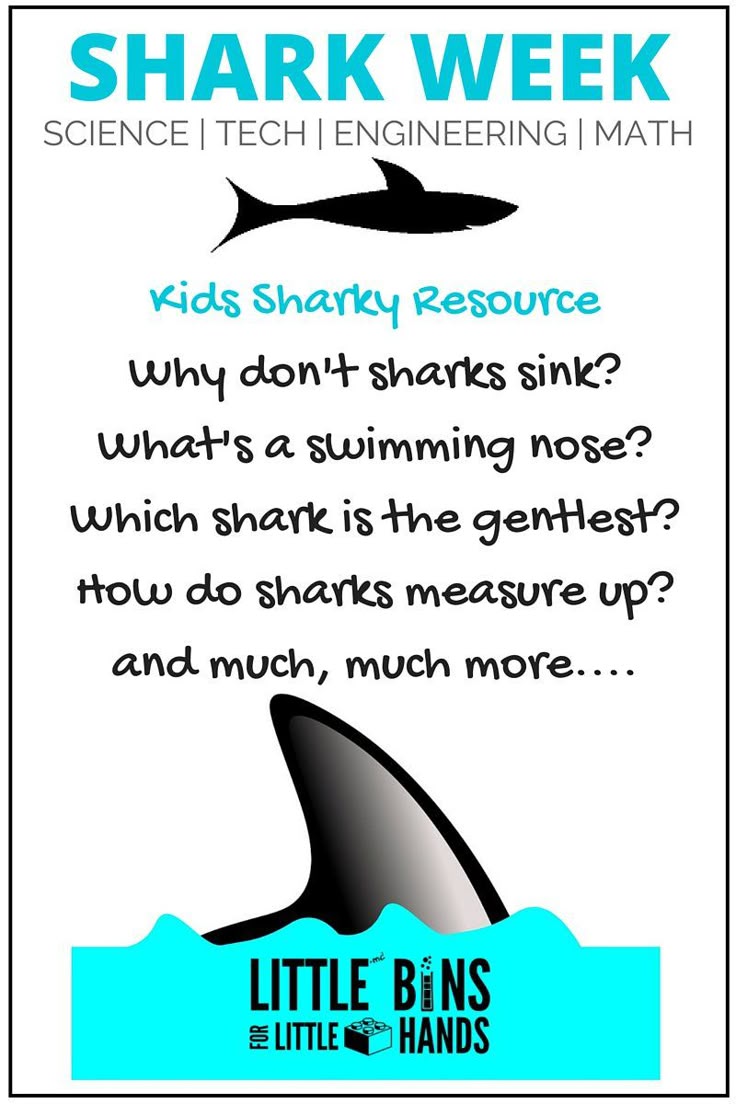 Shark Week activities for kids! Fun Shark STEM ideas for kids to learn more abou... Shark Week activities for kids! Fun Shark STEM ideas for kids to learn more abou... 2