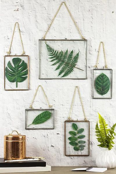 Gerahmte Pflanzen – Die beliebtesten Trends im Schlafsaal – nach Pinterest – Pho… Gerahmte Pflanzen – Die beliebtesten Trends im Schlafsaal – nach Pinterest – Pho…