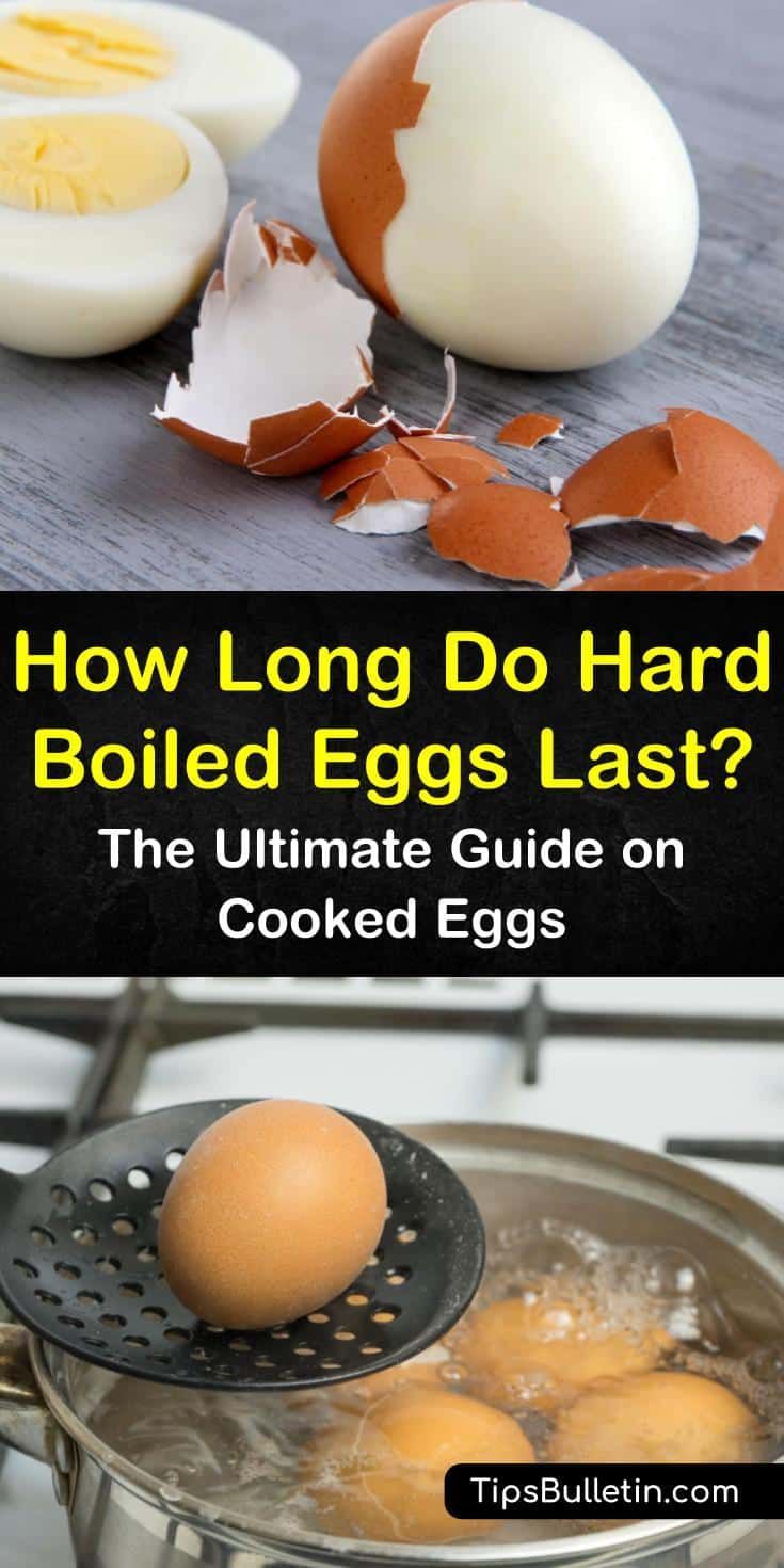 10 Eier Hart Kochen Wie Lange Wie Lange Eier Hart Kochen | Trenzy2020