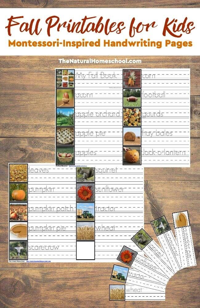 Fall Printables For Kids