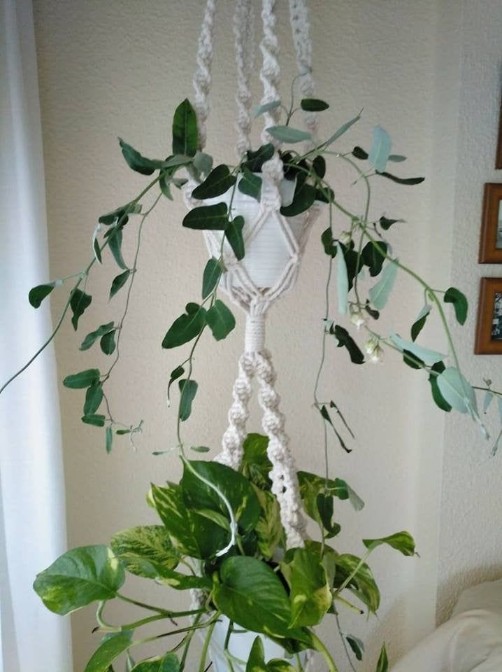 Macetero Doble De Macramé Macetero Colgante Estilo Nórdico Etsy Maceteros Colgantes Macetero Decoracion Primaveral