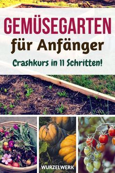 Gemüsegarten für Anfänger: Crashkurs in 11 Schritten! Du möchtest einen Nutz...