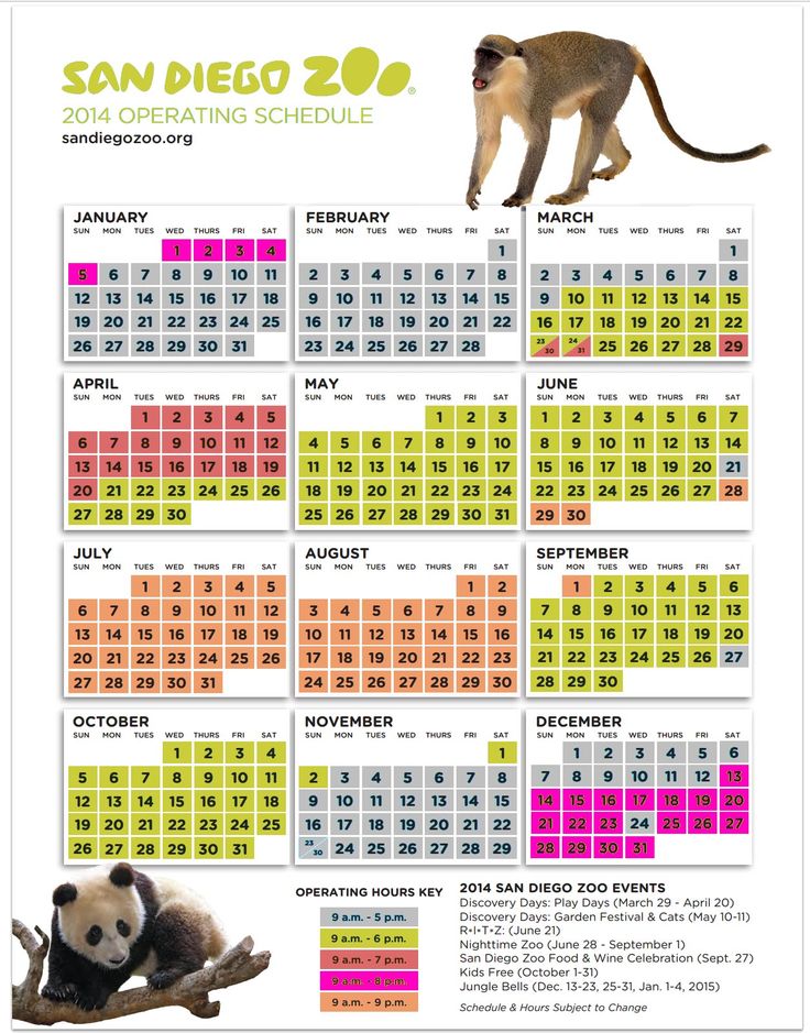 Zoo safari coupons