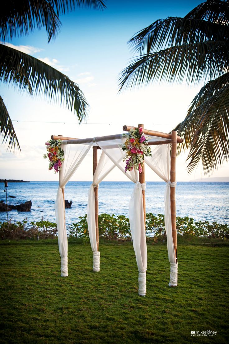 best 25+ bamboo wedding arch ideas on pinterest | beach ceremony best 25+ bamboo wedding arch ideas on pinterest | beach ceremony