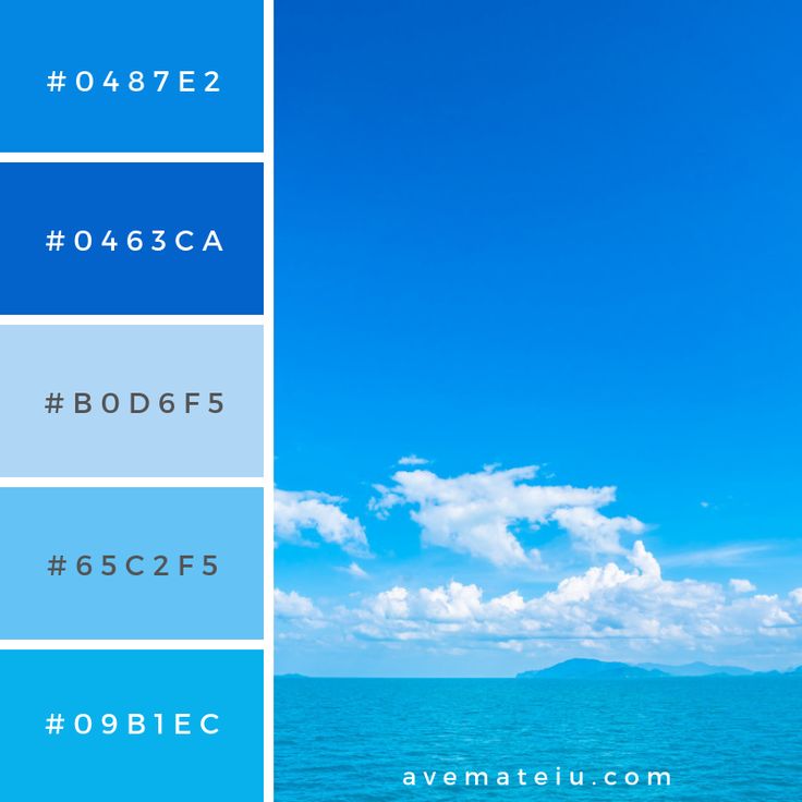 Beautiful Sea And Ocean On White Cloud And Blue Sky Color Palette 259