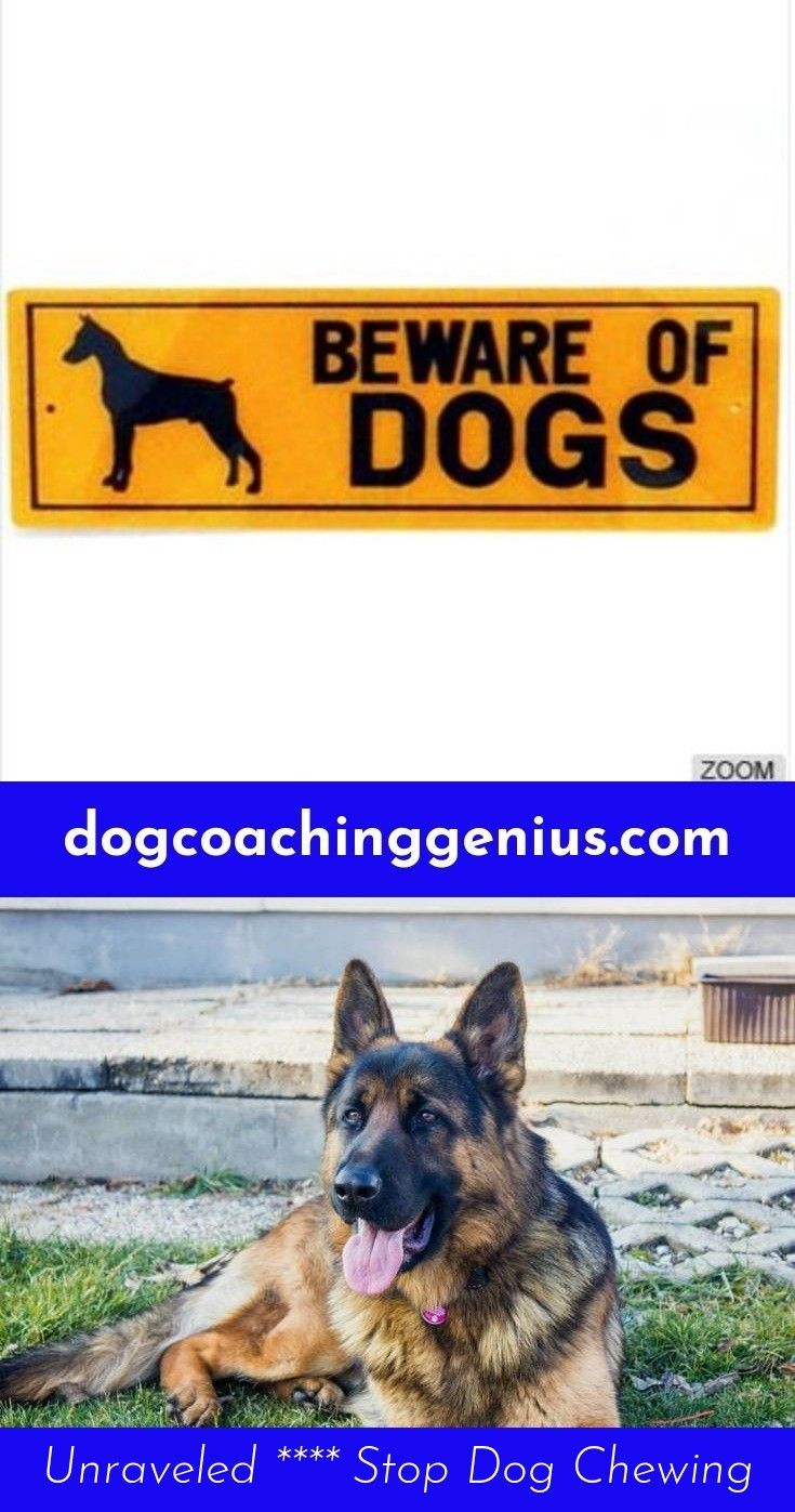 Head To The Webpage To Read More On Dog Leash Training Dog Leash