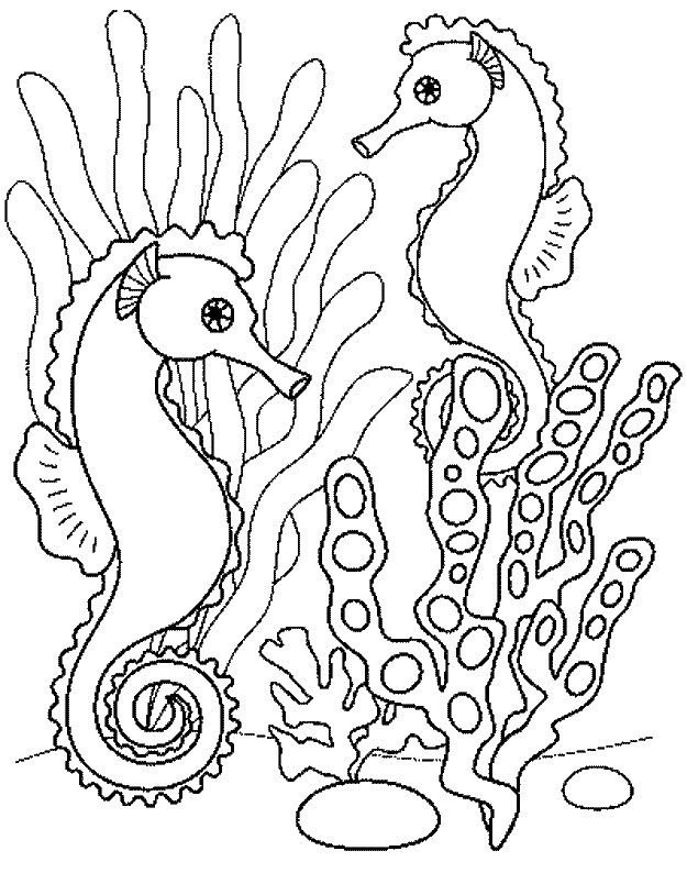 20+ Desenhos para Colorir Animais no Fundo do Mar | Desenhos para colorir