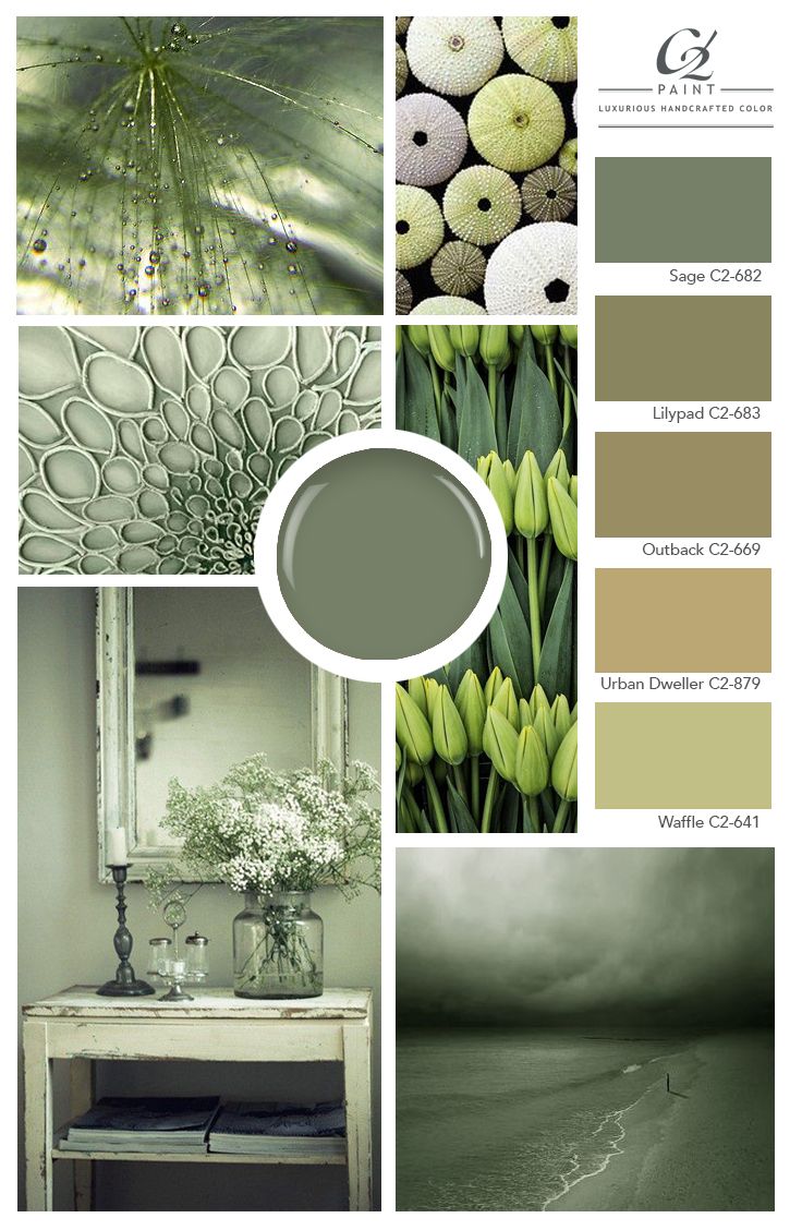top 25+ best sage green bedroom ideas on pinterest | wall colors top 25+ best sage green bedroom ideas on pinterest | wall colors