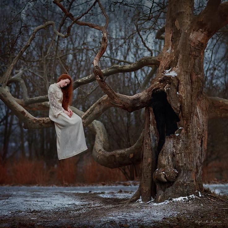 Anti Human Aesthetics Of Nature Anti Human Aesthetics Of Nature