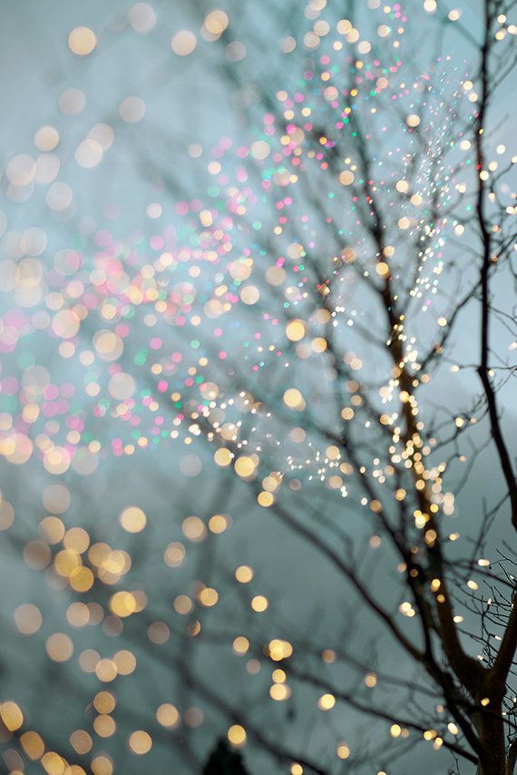 Winter Photography - Holiday Fairy Lights in Trees, Festive Winter Scene, Fine Art Landscape Photograph, Large Wall Art iPhone X Wallpaper 789185534676145966 4 Winter Photography - Holiday Fairy Lights in Trees, Festive Winter Scene, Fine Art Landscape Photograph, Large Wall Art iPhone X Wallpaper 789185534676145966 4