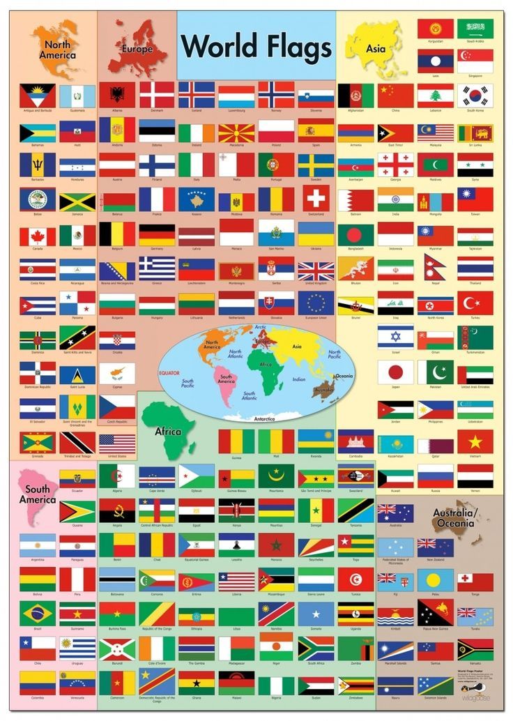 world flags camp eagle