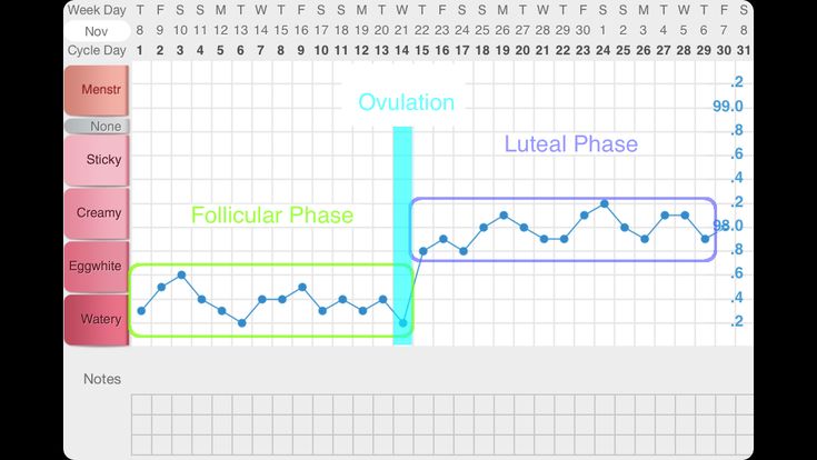 Basal Thermometer Chart