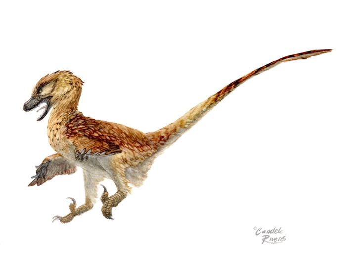 27 best Dinosaur Planet images on Pinterest Planets, Dinosaurs and Egg - fresh ark oviraptor blueprint 27 best Dinosaur Planet images on Pinterest Planets, Dinosaurs and Egg - fresh ark oviraptor blueprint
