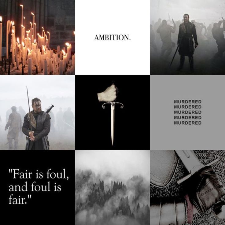 Zodiac Academy Series Spoilers