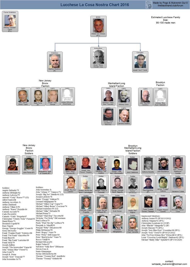 587 best lucchese crime family images on pinterest philadelphia crime family chart 2017