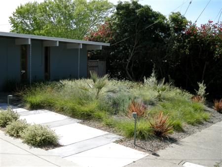Front Garden Ideas Nz 221 best gardens & landscape design in new zealand images on Front Garden Ideas Nz 221 best gardens & landscape design in new zealand images on