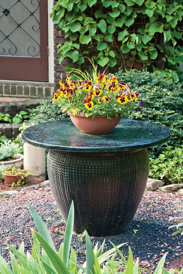 Best 25 pots ideas on Pinterest 121 Container Gardening Ideas