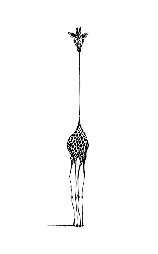 giraffe art print giraffe