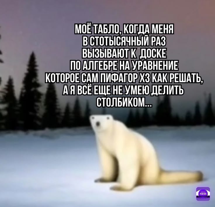 Это ноябрьский мем из 2026, вы пока не поймете". В соцсетях завирусилась новая к
