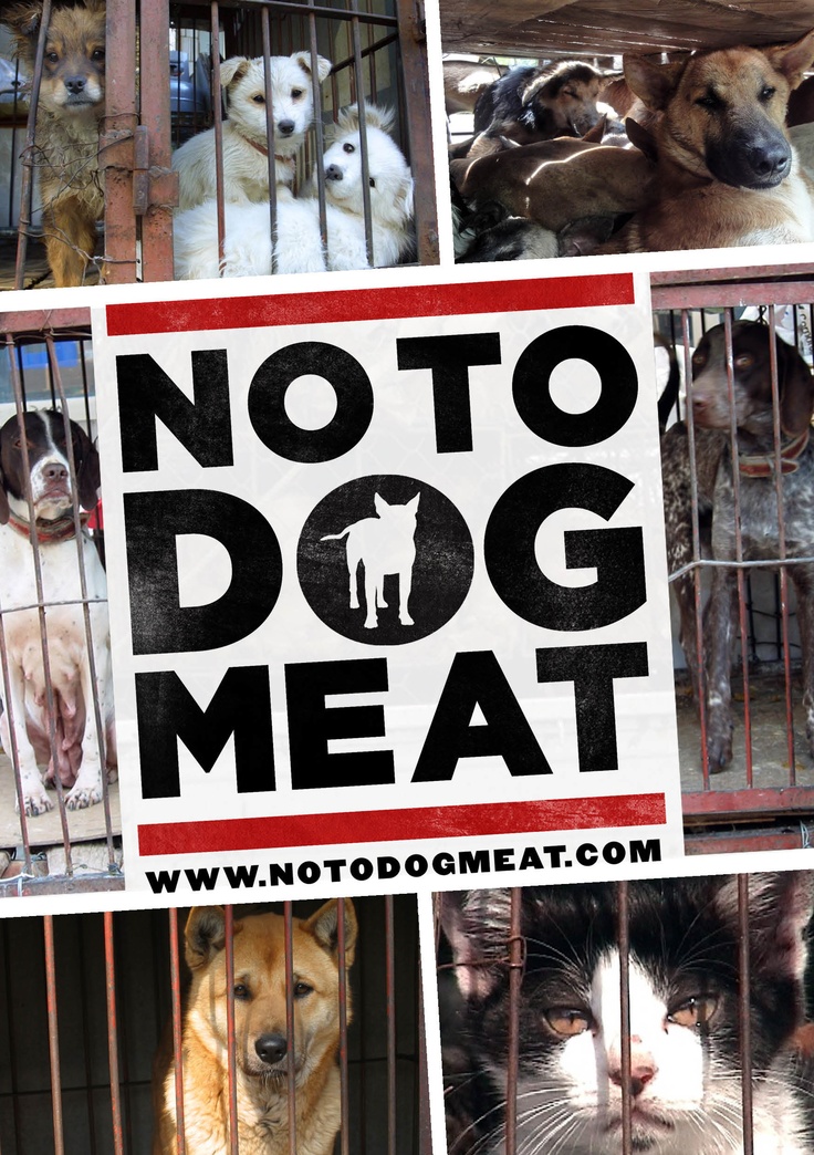 Dogs Breed To Eat In China Dogs Breed To Eat In China