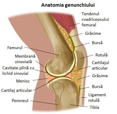 apa la genunchi tratament naturist)