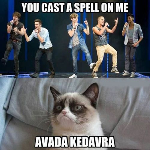 177 best cat memes images on pinterest cats humour, funny 6cf8468f16a975cda6b998e0672a7cd5 funny cat memes funny cats 177 best cat memes images on pinterest cats humour, funny,Funny Clean Grumpy Cat Memes