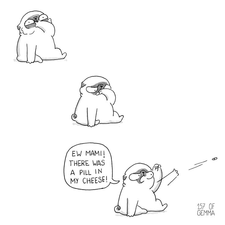 mochi the pug stickers best 10 pug ideas on pug illustration pugs in costume and dogs mochi the pug stickers best 10 pug ideas on pug illustration pugs in costume and dogs