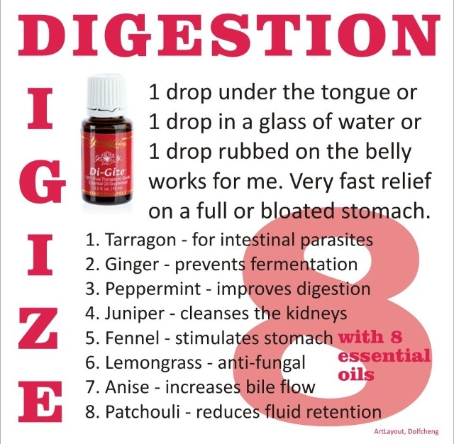 The 25+ best Signs of stomach flu ideas on Pinterest Most viewed - food poisoning duration The 25+ best Signs of stomach flu ideas on Pinterest Most viewed - food poisoning duration